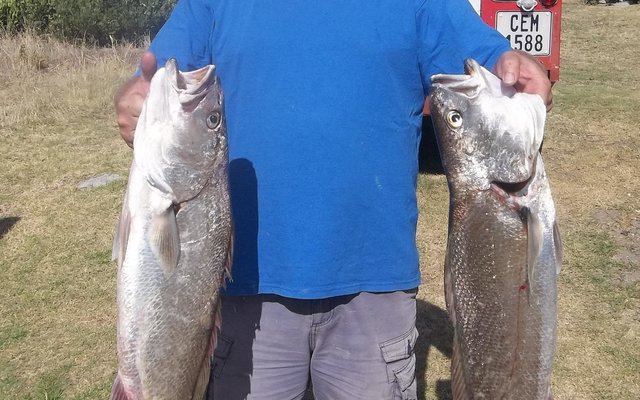 Gansbaai Boet se Baai se kabeljoue_1